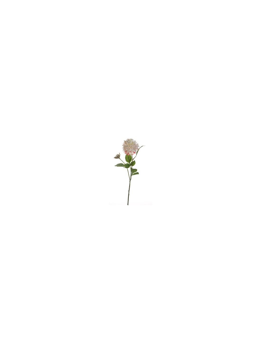 FIORE 15910093-03 DALIA ROSSA CON BOCCIOLO