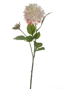 FIORE 15910093-10 DALIA BIANCA CON BOCCIOLO
