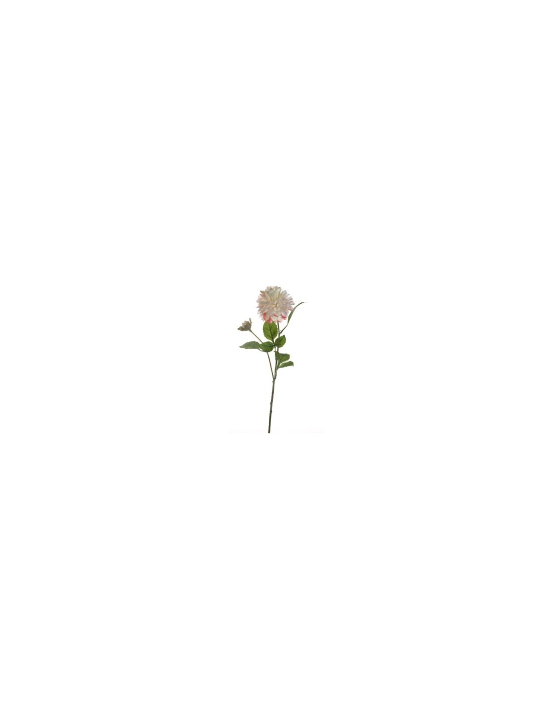 FIORE 15910093-10 DALIA BIANCA CON BOCCIOLO