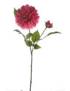FIORE 15910093-12 DALIA FUCSIA CON BOCCIOLO