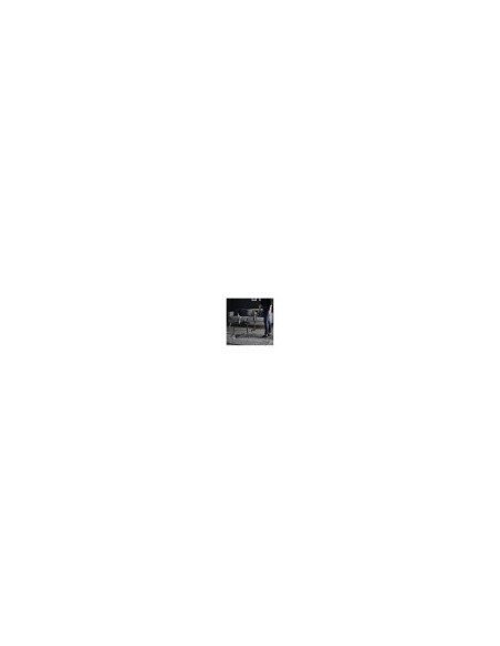 Scopa elettrica senza fili leggera e potente Rowenta X-Force Flex 9.60 RH2037WO | Tre G Ingrosso
