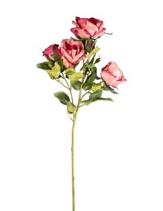 STELO 268012012 ROSE EQUADOR FUCSIA 70CM CON BOCCIOLI