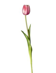 FIORE 18120005-06 TULIPANO MALVA 45CM