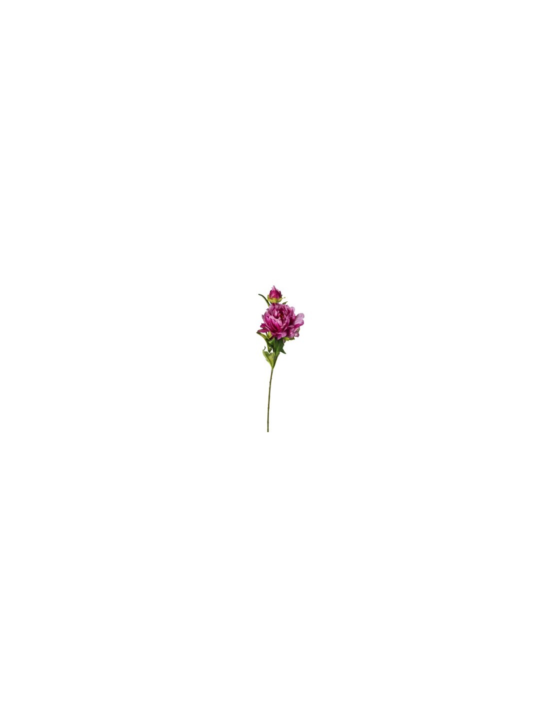 FIORE 30020012-12 PEONIA 50CM FUCSIA