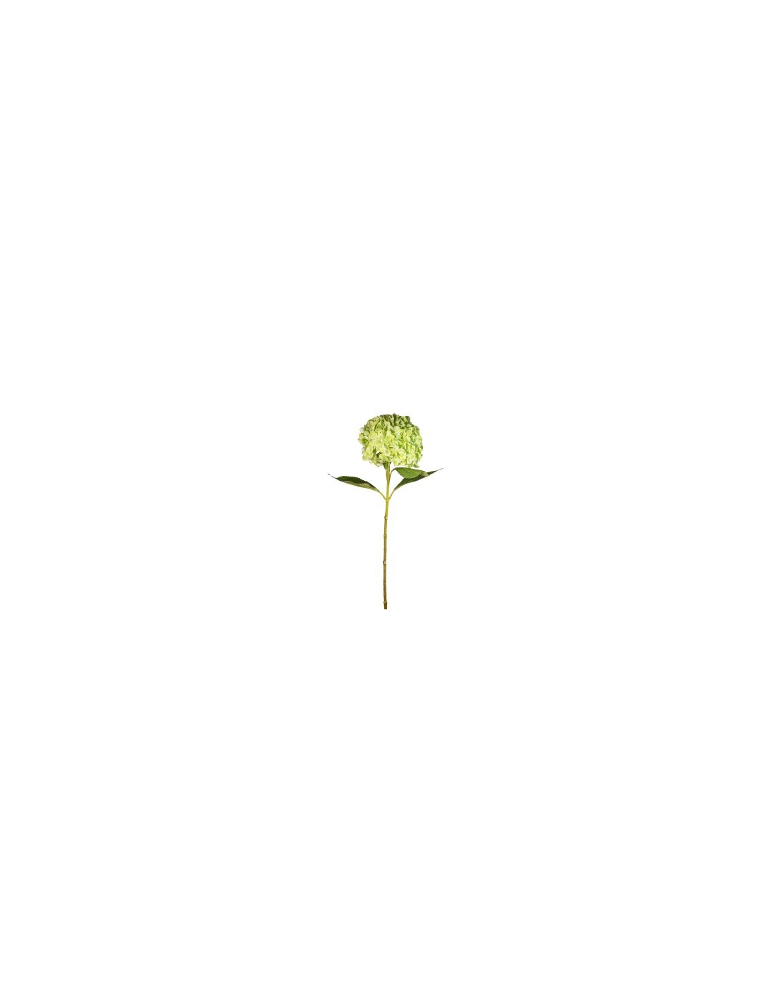 STELO 1821000602 HYDRANGEA 70CM VERDE CHIARO