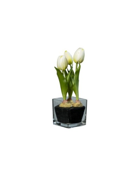 FIORE 1812001336 TULIPANO BIANCO 23CM CON VASO VETRO