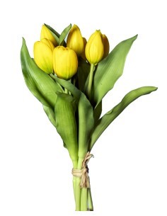 STELO 1812000813 7 TULIPANI GIALLI 30CM CON BOCCIOLI