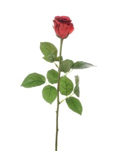 FIORE 1030005503 BOCCIOLO DI ROSA ROSSO