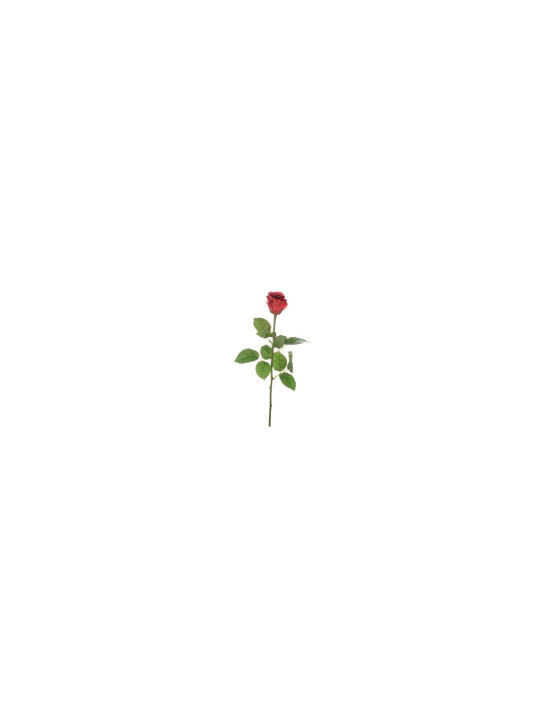FIORE 1030005503 BOCCIOLO DI ROSA ROSSO