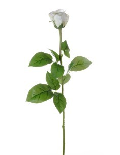 FIORE 1030005510 BOCCIOLO DI ROSA CREMA