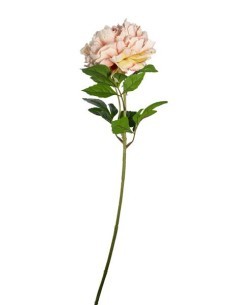 FIORE 1807002006 PEONIA MALVA 75CM