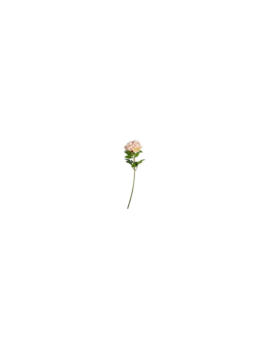 FIORE 1807002006 PEONIA MALVA 75CM