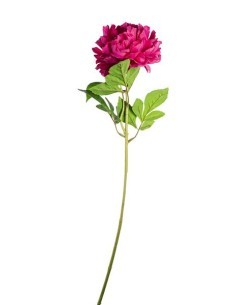 FIORE 1807002011 PEONIA ROSA 75CM
