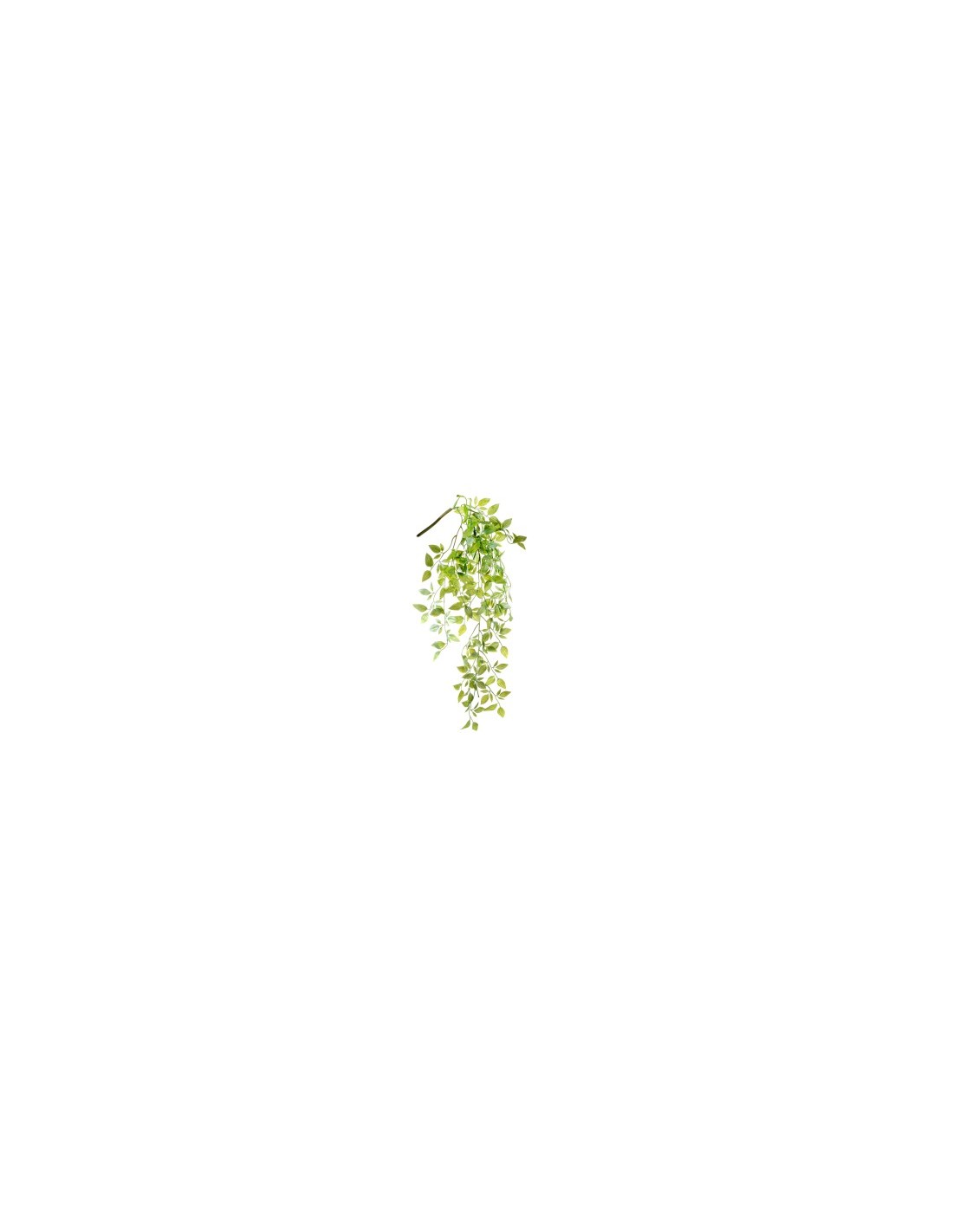 PIANTA 1400002801 RAMO VITE 60CM VERDE