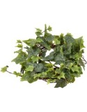 PIANTA 1506005827 GHIRLANDA D30CM FOGLIE VERDI