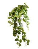 RAMO 1035003315 CESPUGLIO AMARANTHUS 80CM