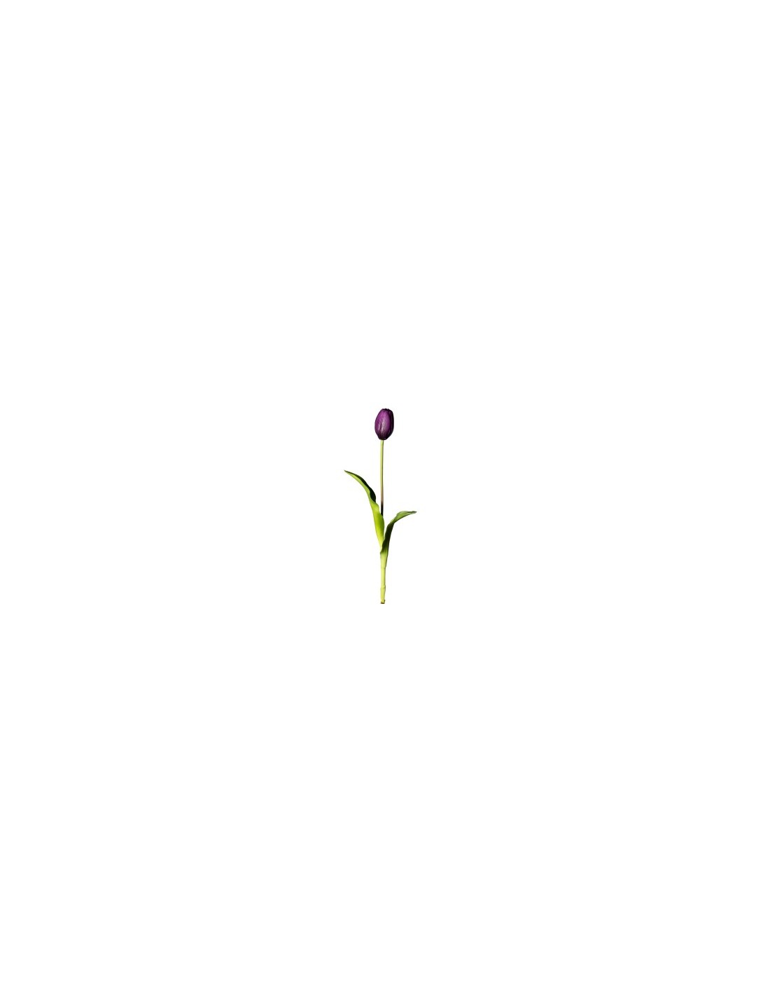 FIORE 1812007-110 BOCCIOLO TULIPANO VIOLA 40CM
