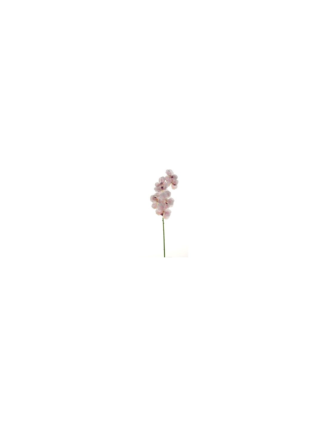 PIANTA 18090002-91 ORCHIDEA BIANCO/ROSA 80CM