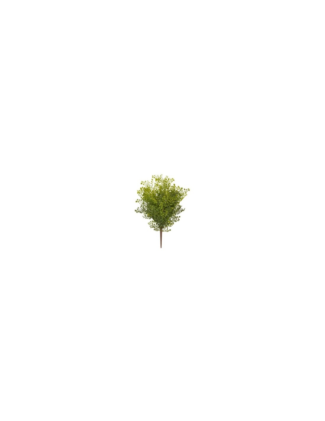 PIANTA 18330003-01 CESPUGLIO FELCE 45CM VERDE