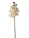 PIANTA 27000303-10 CIMBYDIUM BIANCO 75CM 8 FIORI
