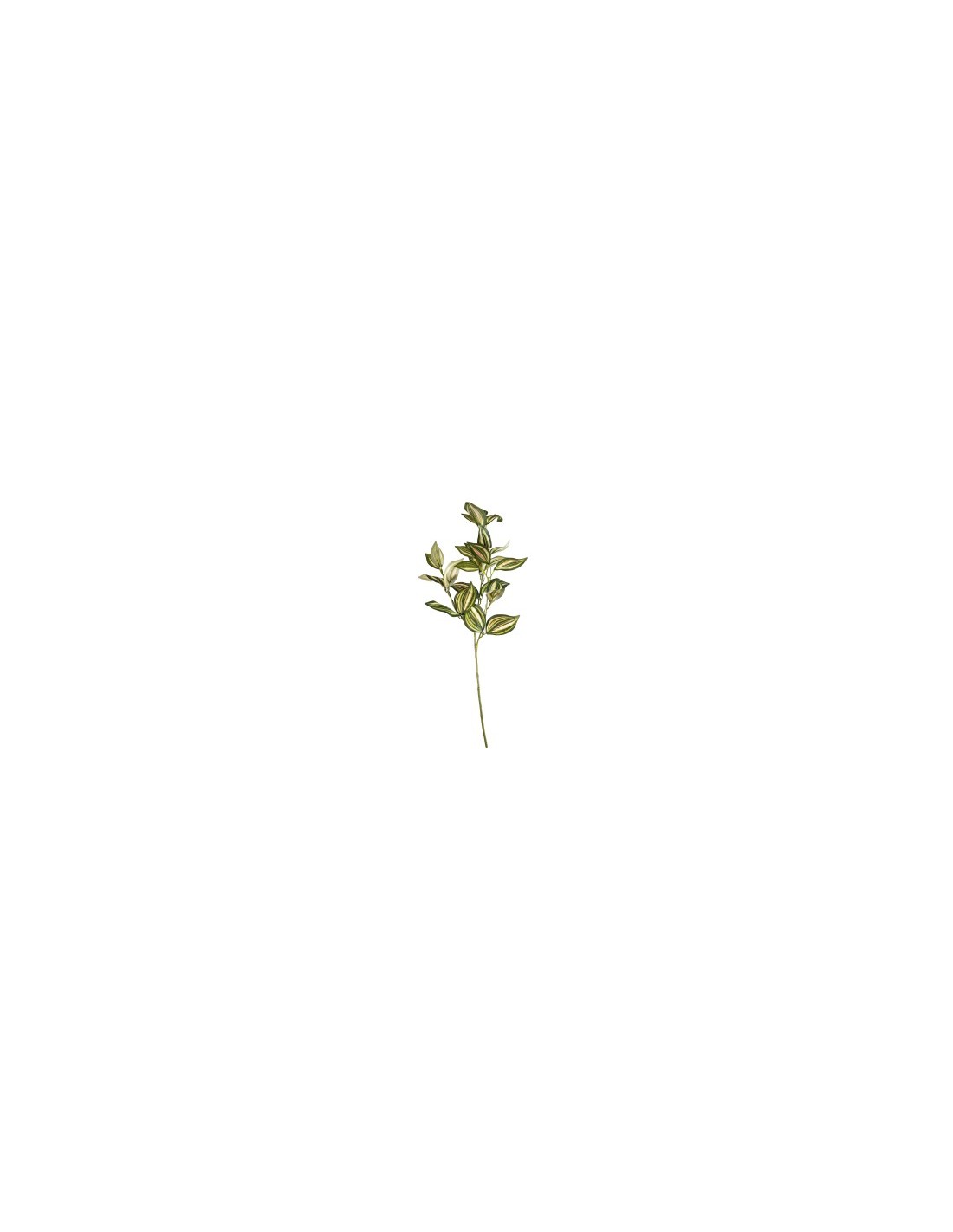 STELO 10350020-96 TRADESCANTIA 70CM 3 RAMI