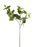 STELO 10350021-01 EDERA 70CM 3 RAMI