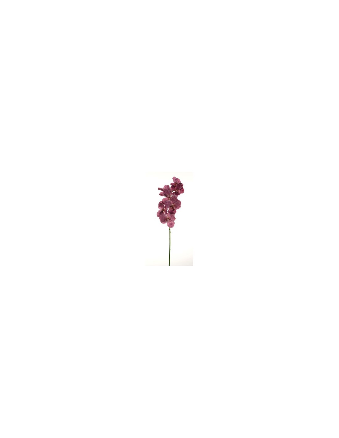 STELO 18090002-12 ORCHIDEA FUCSIA 80CM