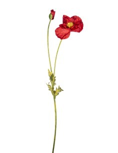 PIANTA 2680132-134 PAPAVERO ROSSO 100CM CON BOCCIOLO