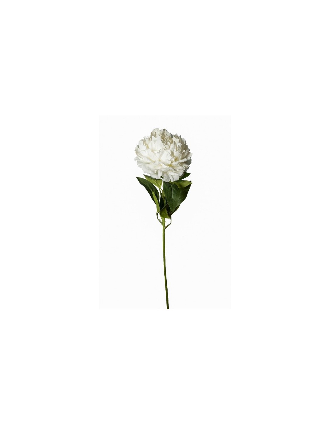 STELO 18070020-36 PEONIA BIANCA 75CM CON FOGLIE VERDI