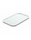 VASSOIO GILLY IN PLASTICA 46 X 30 CM GIGANPLAST su TreG Ingrosso
