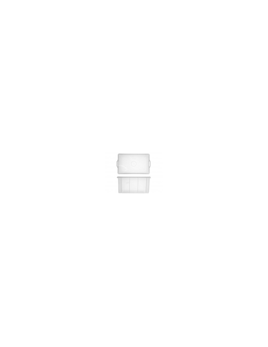 CASSETTA BOX GIGANPLAST 62 X 40 H 31 CON COPERCHIO 1900M2 su TreG I...