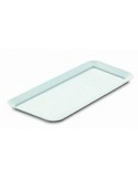 VASCHETTA RETTANGOLARE PER SALUMI 53X24X3 CM GIGANPLAST su TreG Ing...