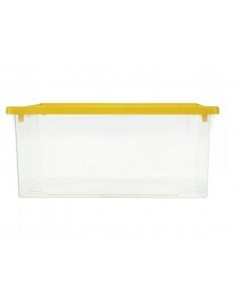 SCATOLA 4 STAGIONI 22 LT 41 X 34 X 17 LEGA su TreG Ingrosso