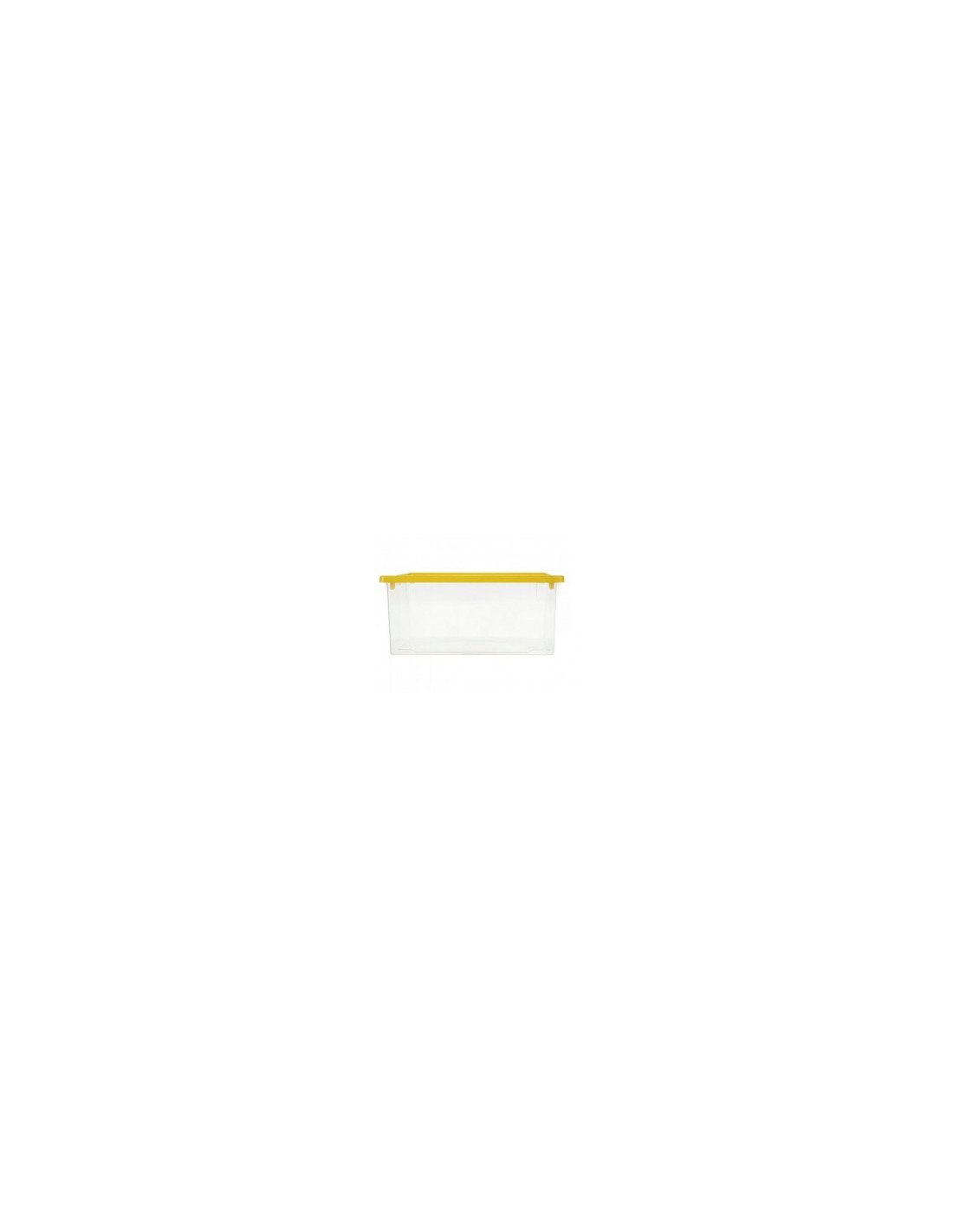 SCATOLA 4 STAGIONI 22 LT 41 X 34 X 17 LEGA su TreG Ingrosso