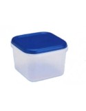 FRIGO BOX QUADRATA BASSA IN PLASTICA 2,5 LT LEGA su TreG Ingrosso