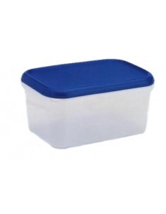 FRIGO BOX RETTANGOLARE BASSA IN PLASTICA 4,5 LT LEGA su TreG Ingrosso