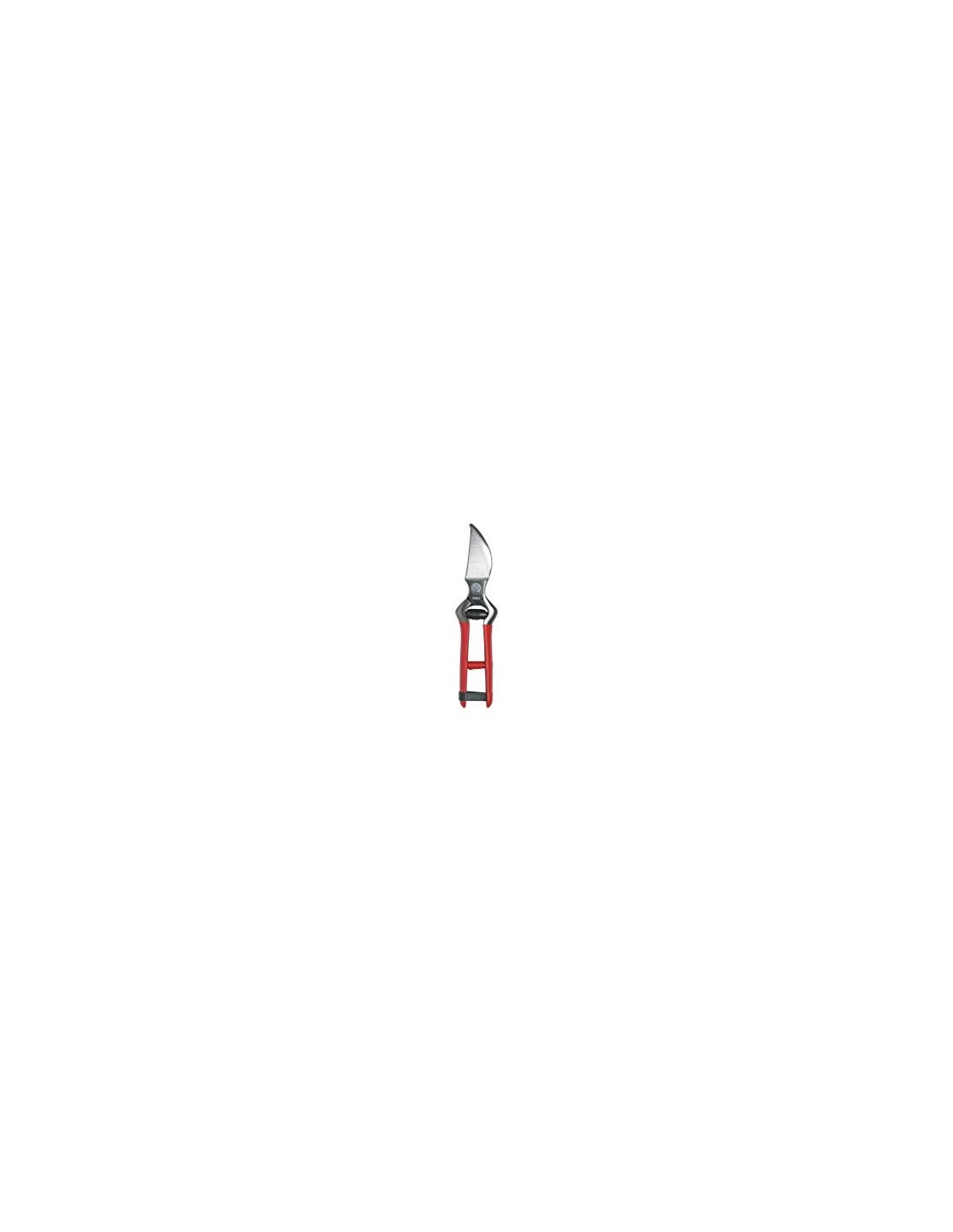 FORBICI VIGNA CM 21 0356 su TreG Ingrosso