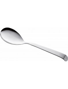 ASTRA CUCCHIAIONE IN ACCIAIO INOX 30 CM PINTINOX su TreG Ingrosso