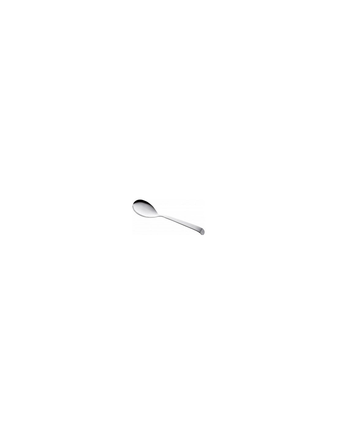 ASTRA CUCCHIAIONE IN ACCIAIO INOX 30 CM PINTINOX su TreG Ingrosso