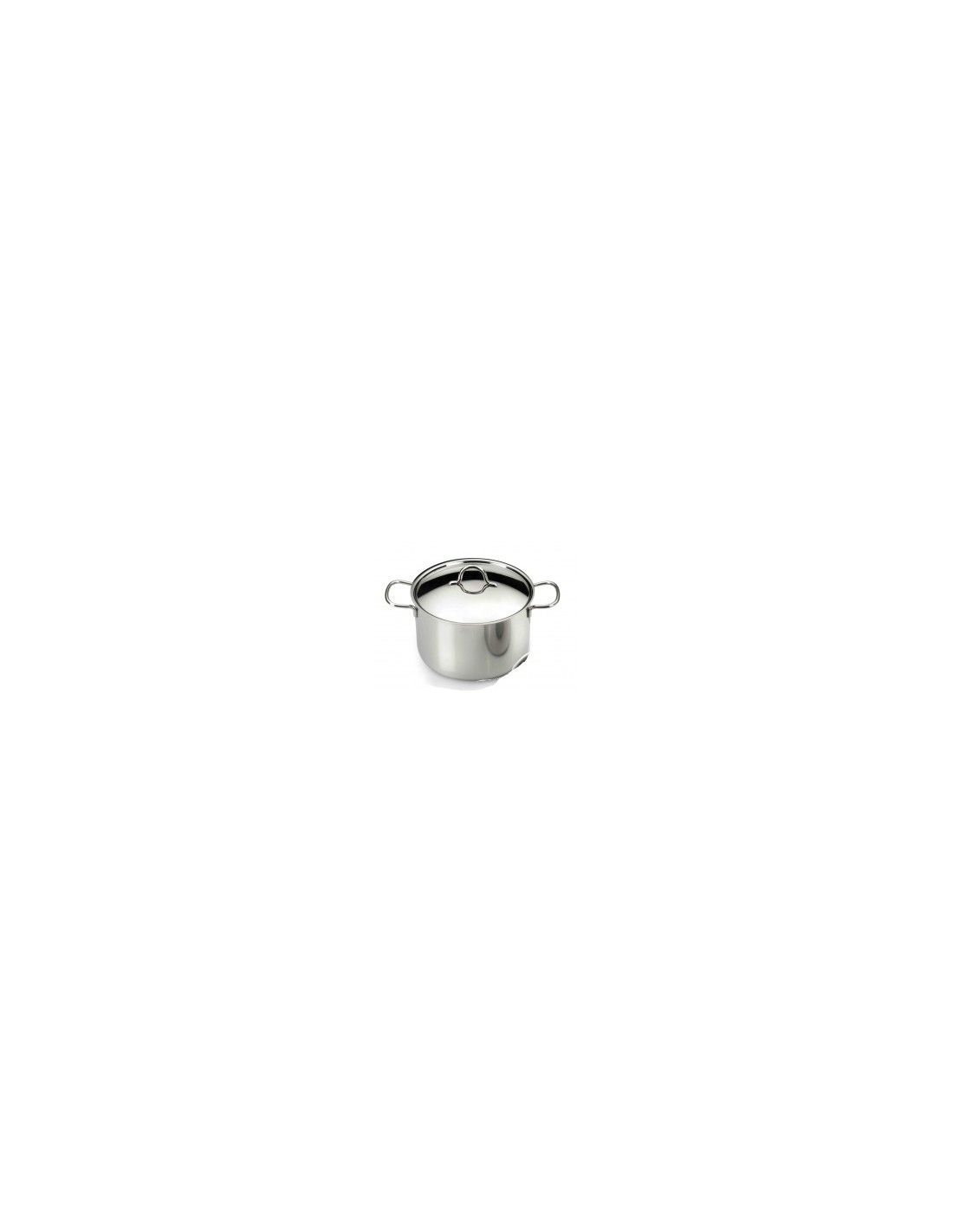 ECOLINE PENTOLA IN ACCIAIO INOX 2 MANICI 20 CM PINTINOX su TreG Ing...