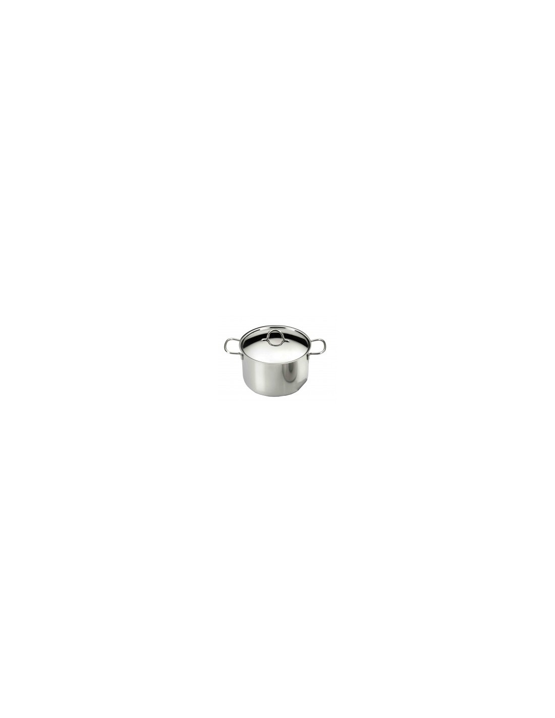 ECOLINE PENTOLA IN ACCIAIO INOX 2 MANICI 24 CM PINTINOX su TreG Ing...