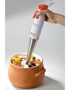 PIMMY FRULLATORE AD IMMERSIONE 200W 881 ARIETE su TreG Ingrosso