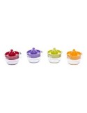SPREMIAGRUMI TULIPANO IN PLASTICA 0,6 LT ECOPLAST su TreG Ingrosso