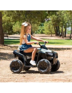 QUAD 12541 BOXER 12V su TreG Ingrosso