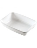 VASCHETTA RETTANGOLARE 3 LT 30 CM PALMA 16141 su TreG Ingrosso
