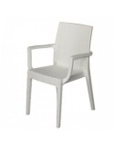 POLTRONA DAFNE BIANCO SIMIL RATTAN su TreG Ingrosso