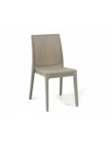 SEDIA SELENE IN PLASTICA 52X46X86 CM TORTORA ARETA su TreG Ingrosso