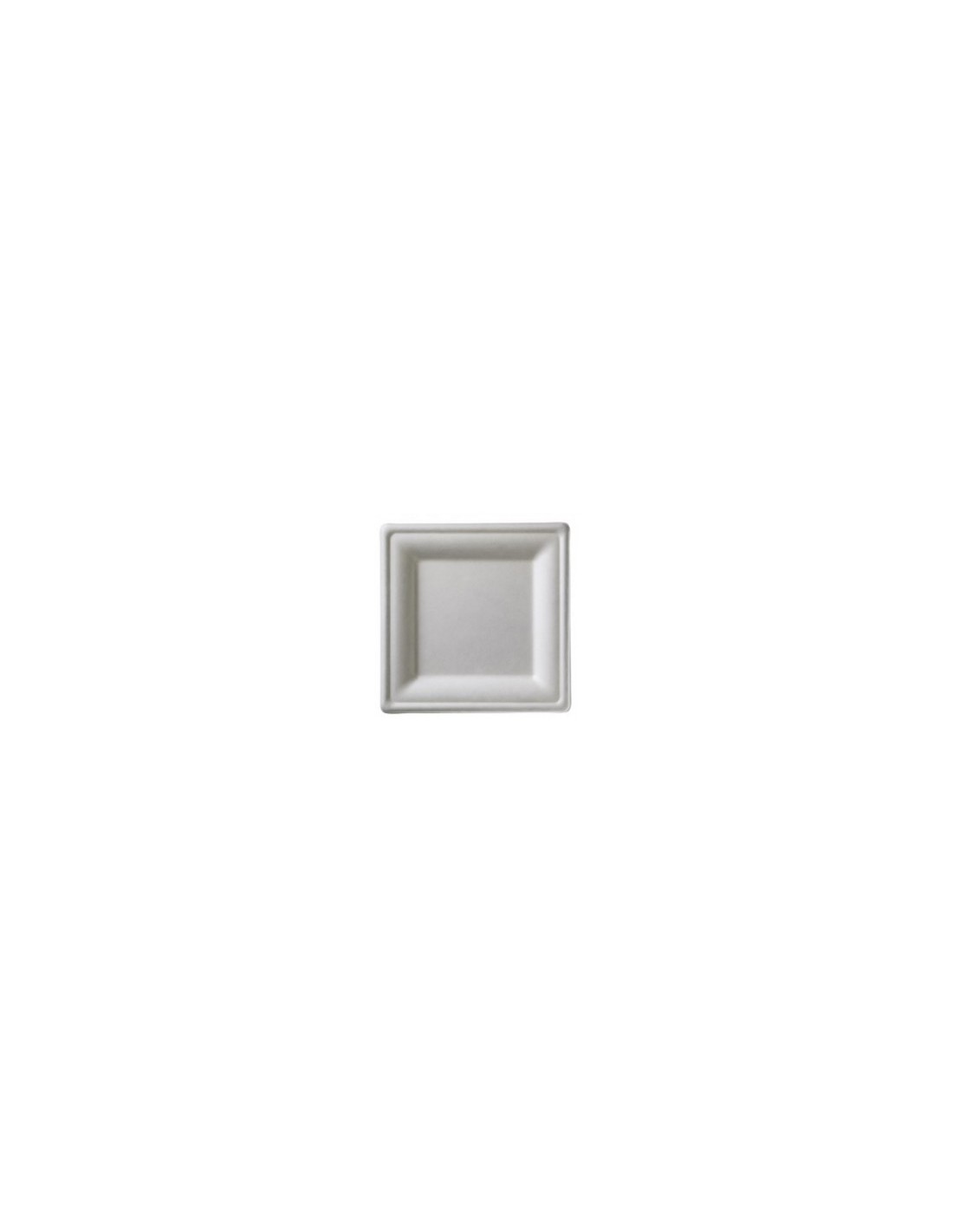 CONF 50 PIATTI Q2025 BIO 26X26CM su TreG Ingrosso