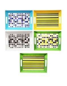 10169 VASSOIO 45X32 DECORATO su TreG Ingrosso