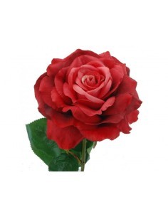 ROSA 1803-08 ROSSA 56CM su TreG Ingrosso